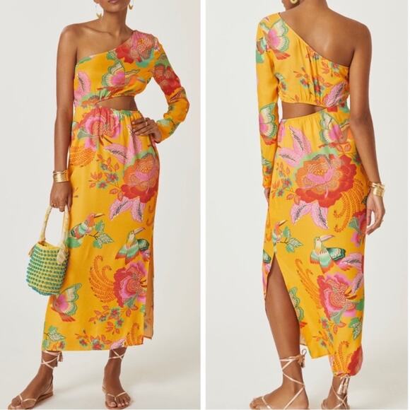 FARM Rio Dresses & Skirts - Farm Rio x Anthropologie Single Shoulder Printed Maxi Dress Size Medium